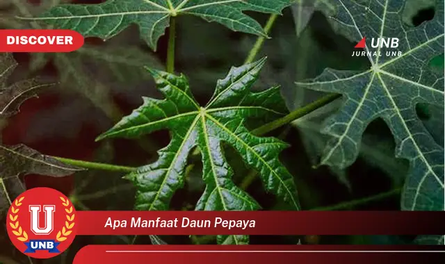 Ketahui 9 Manfaat Daun Pepaya untuk Kesehatan, Dari Mengatasi Demam Berdarah Hingga Menjaga Sistem Pencernaan