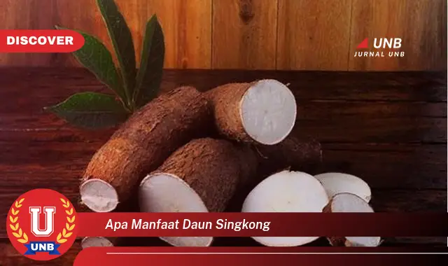 apa manfaat daun singkong