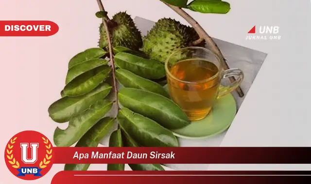 Ketahui 8 Manfaat Daun Sirsak untuk Kesehatan Anda