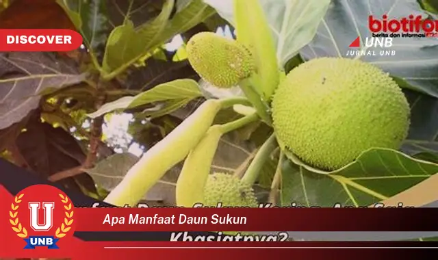 Ketahui 9 Manfaat Daun Sukun untuk Kesehatan dan Kecantikan