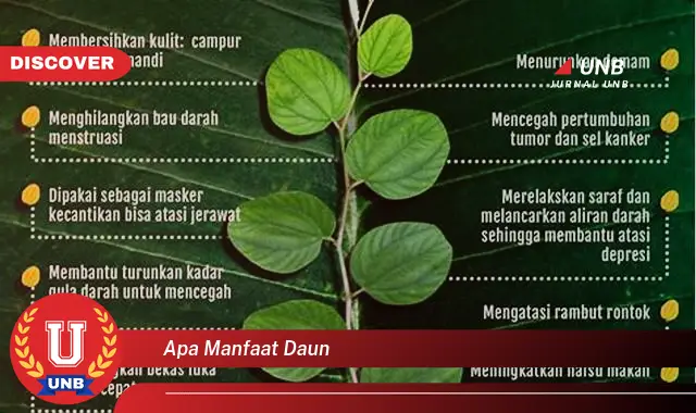 Ketahui 10 Manfaat Daun,  Beragam Jenis dan Khasiatnya untuk Kesehatan