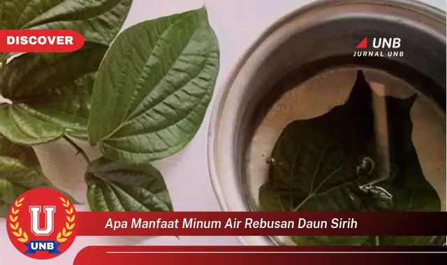 Ketahui 10 Manfaat Minum Air Rebusan Daun Sirih untuk Kesehatan Tubuh Anda