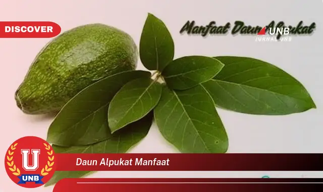 Ketahui 8 Manfaat Daun Alpukat untuk Kesehatan Anda