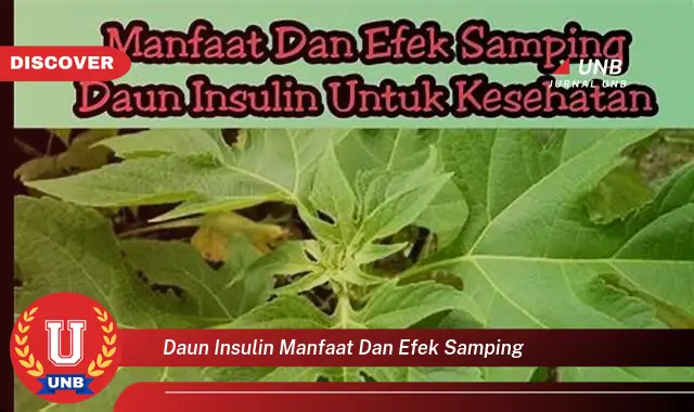 Ketahui 8 Manfaat Daun Insulin untuk Kesehatan Tubuh dan Efek Samping yang Perlu Diwaspadai