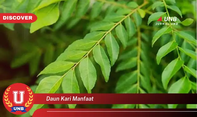 Ketahui 8 Manfaat Daun Kari untuk Kesehatan, Kecantikan, dan Masakan