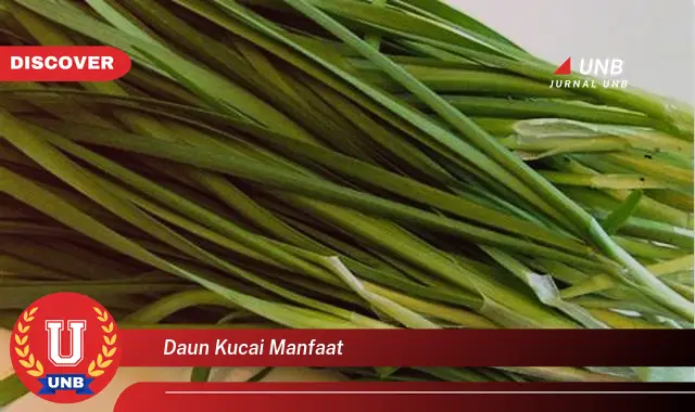 Ketahui 9 Manfaat Daun Kucai untuk Kesehatan Anda