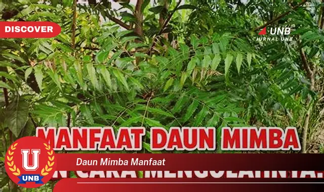 Ketahui 9 Manfaat Daun Mimba untuk Kesehatan, Kecantikan, dan Rumah Tangga