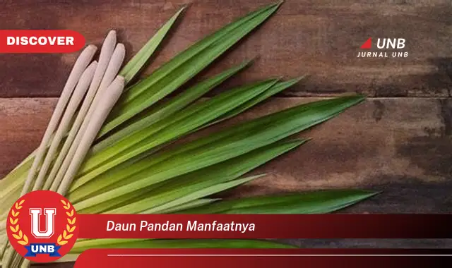 Ketahui 10 Manfaat Daun Pandan untuk Kesehatan dan Kecantikan Anda