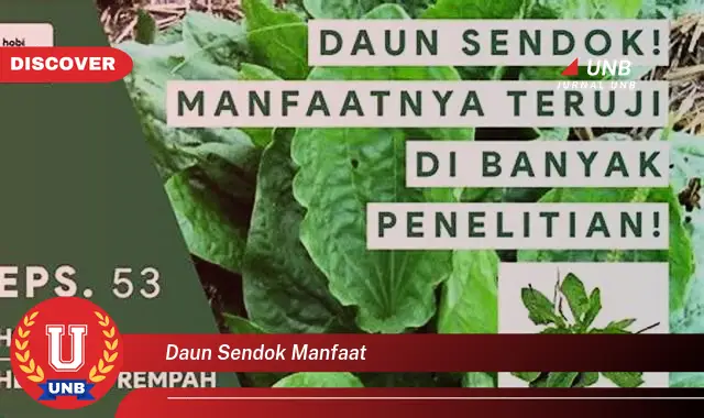 Ketahui 10 Manfaat Daun Sendok untuk Kesehatan Tubuh Anda