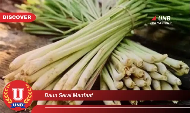 daun serai manfaat