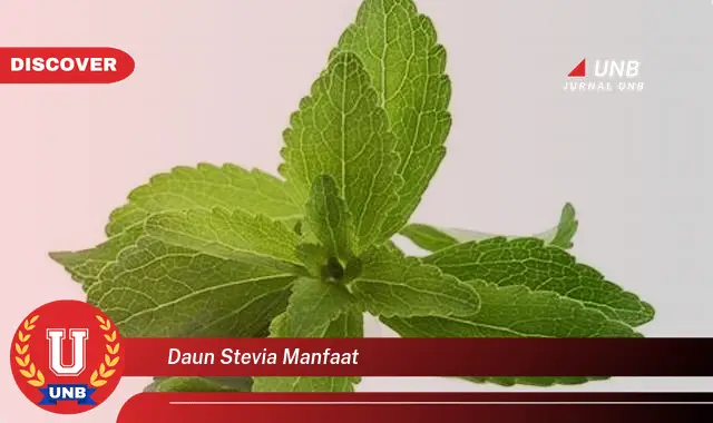 Ketahui 9 Manfaat Daun Stevia untuk Kesehatan Anda