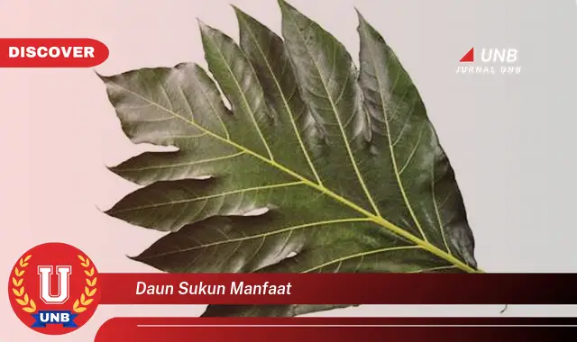 Ketahui 9 Manfaat Daun Sukun untuk Kesehatan dan Kecantikan