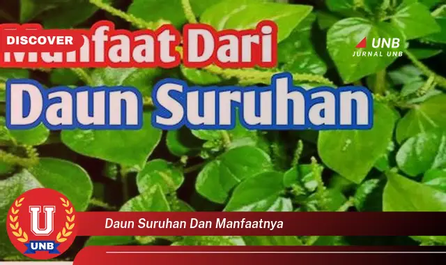 Ketahui 9 Manfaat Daun Suruhan untuk Kesehatan dan Kecantikan Kulit