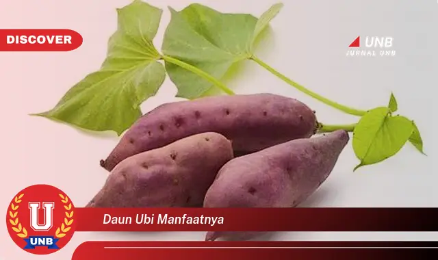 daun ubi manfaatnya