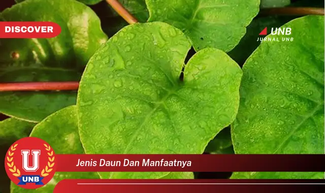 Temukan 8 Manfaat Jenis Daun dan Manfaatnya untuk Kesehatan dan Kecantikan