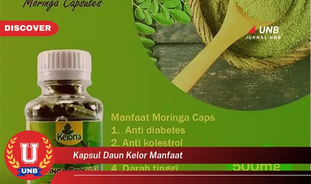 kapsul daun kelor manfaat