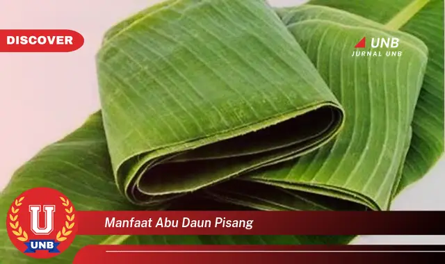 manfaat abu daun pisang