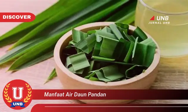 Ketahui 8 Manfaat Air Daun Pandan untuk Kesehatan Tubuh Anda