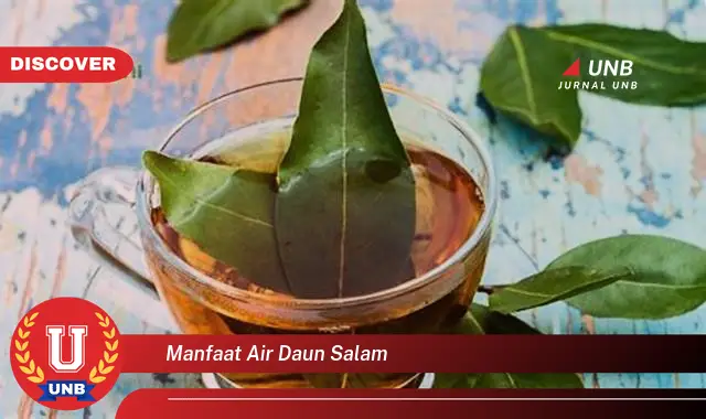 manfaat air daun salam