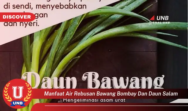 manfaat air rebusan bawang bombay dan daun salam