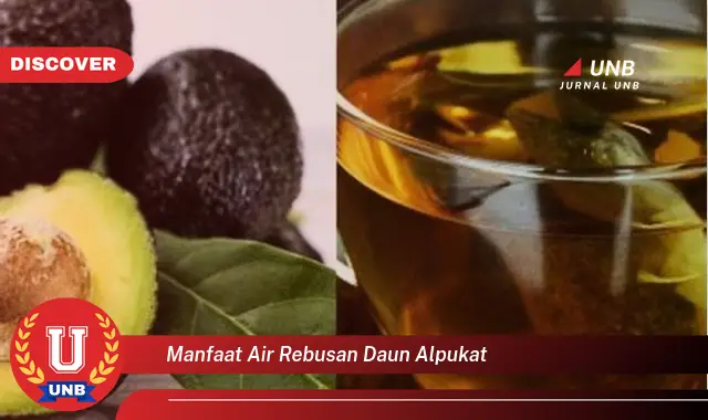 Ketahui 10 Manfaat Air Rebusan Daun Alpukat untuk Kesehatan Anda