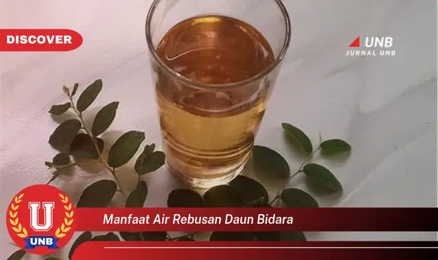 manfaat air rebusan daun bidara