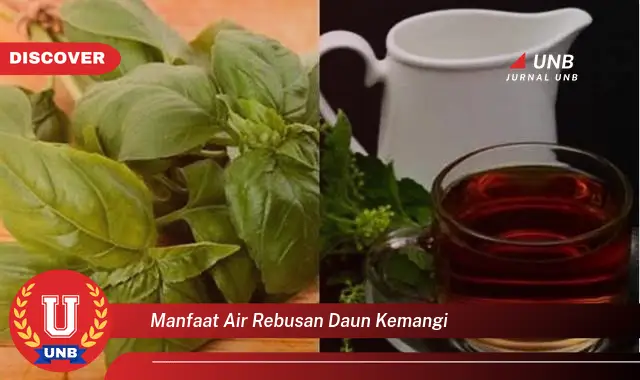 manfaat air rebusan daun kemangi