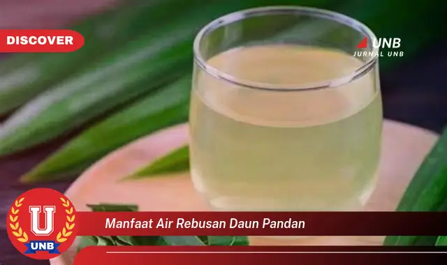 Ketahui 9 Manfaat Air Rebusan Daun Pandan untuk Kesehatan Tubuh Anda