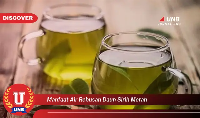 Ketahui 10 Manfaat Air Rebusan Daun Sirih Merah untuk Kesehatan Tubuh Anda