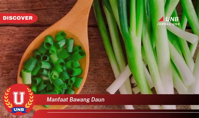 manfaat bawang daun