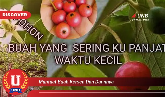 Ketahui 9 Manfaat Buah Kersen dan Daunnya untuk Kesehatan