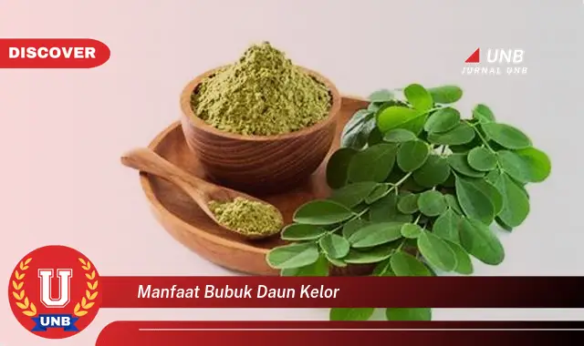 manfaat bubuk daun kelor