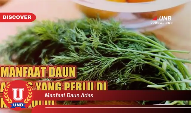 Ketahui 10 Manfaat Daun Adas untuk Kesehatan Tubuh Anda