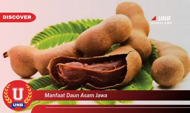 manfaat daun asam jawa