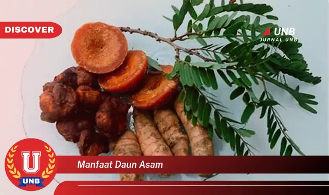 manfaat daun asam