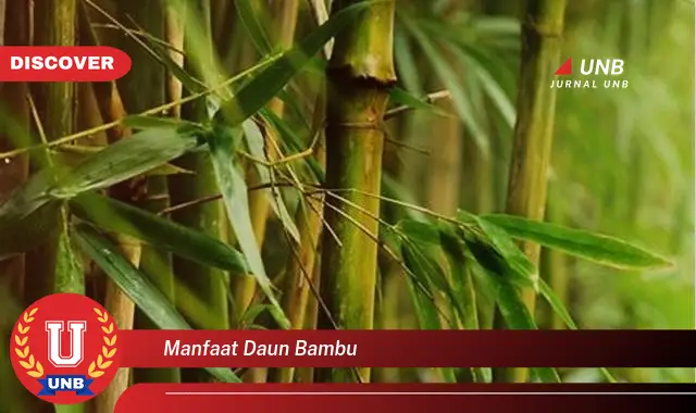 Ketahui 8 Manfaat Daun Bambu untuk Kesehatan Tubuh Anda