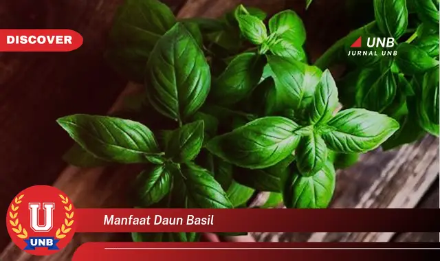 Ketahui 8 Manfaat Daun Basil untuk Kesehatan Tubuh Anda