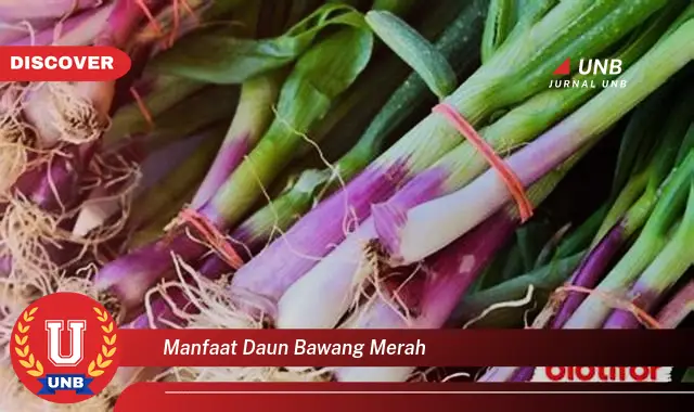 Ketahui 9 Manfaat Daun Bawang Merah untuk Kesehatan Tubuh Anda