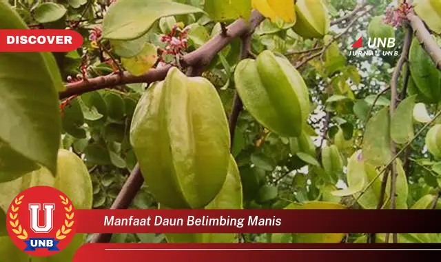 Ketahui 8 Manfaat Daun Belimbing Manis untuk Kesehatan Anda