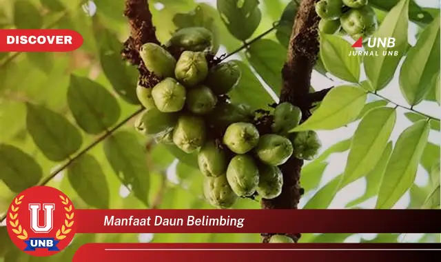 Ketahui 10 Manfaat Daun Belimbing untuk Kesehatan dan Kecantikan