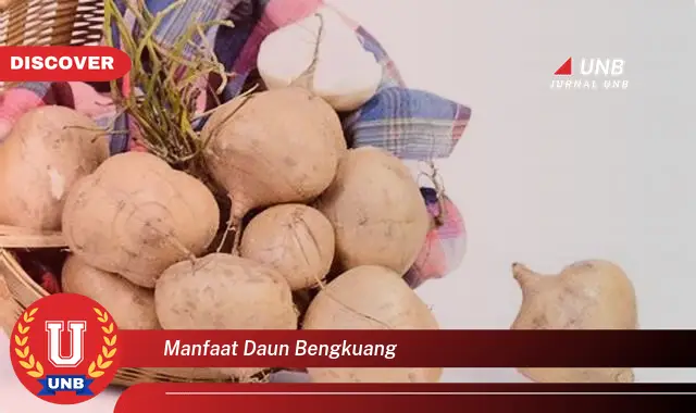 manfaat daun bengkuang