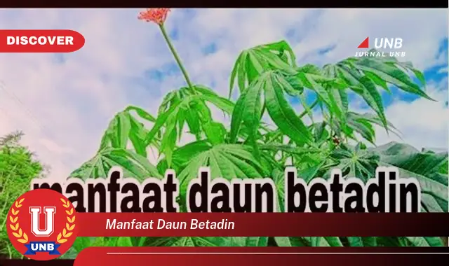 Ketahui 8 Manfaat Daun Betadine untuk Luka Kecil, Gigitan Serangga, dan Masalah Kulit Lainnya