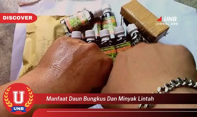 Ketahui 8 Manfaat Daun Bungkus dan Minyak Lintah untuk Kesehatan Anda