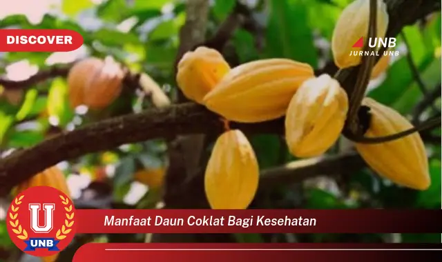 Ketahui 10 Manfaat Daun Coklat bagi Kesehatan Tubuh Anda Secara Lengkap