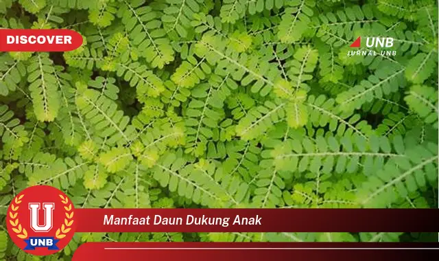 Ketahui 8 Manfaat Daun Dukung Anak untuk Kesehatan dan Pertumbuhan Si Kecil