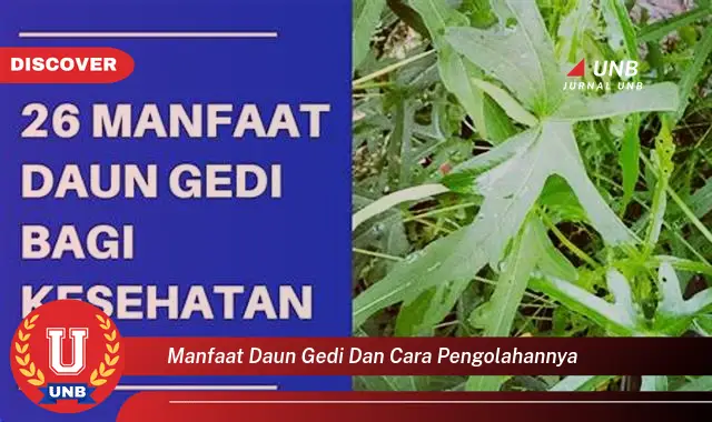 Ketahui 8 Manfaat Daun Gedi untuk Kesehatan dan Cara Mengolahnya dengan Mudah