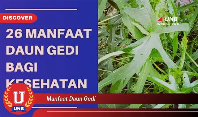 Ketahui 8 Manfaat Daun Gedi untuk Kesehatan Tubuh Anda