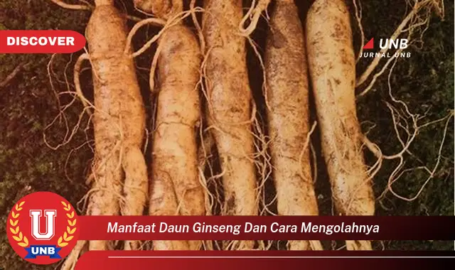 Ketahui 8 Manfaat Daun Ginseng untuk Kesehatan dan Cara Mengolahnya Agar Optimal