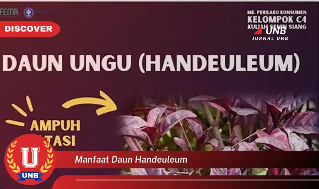 manfaat daun handeuleum