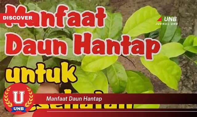 Ketahui 10 Manfaat Daun Hantap untuk Kesehatan dan Kecantikan